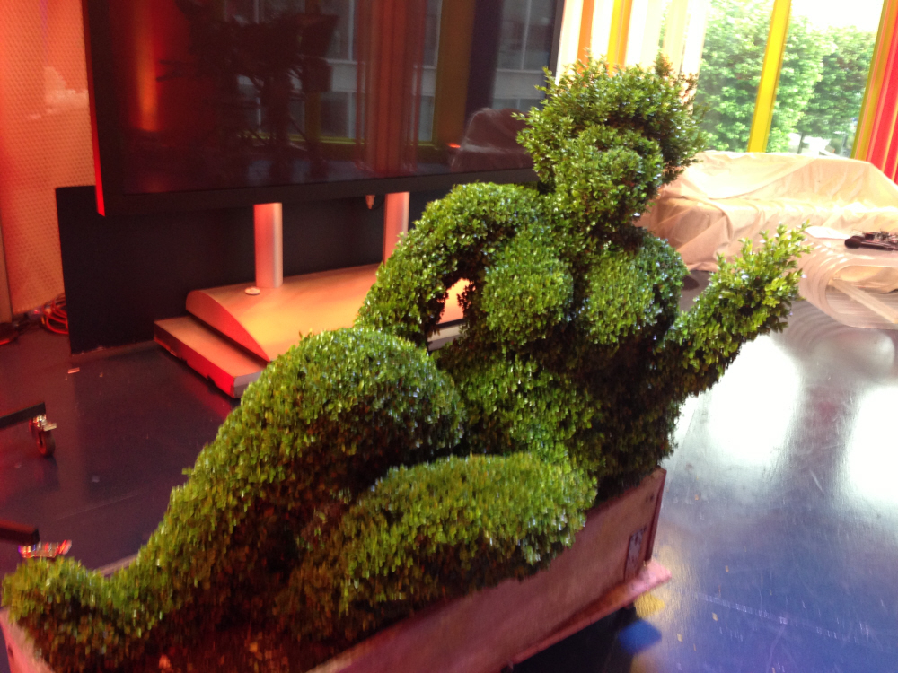 A topiary figure in the One Show Studio for their front garden topiary item
