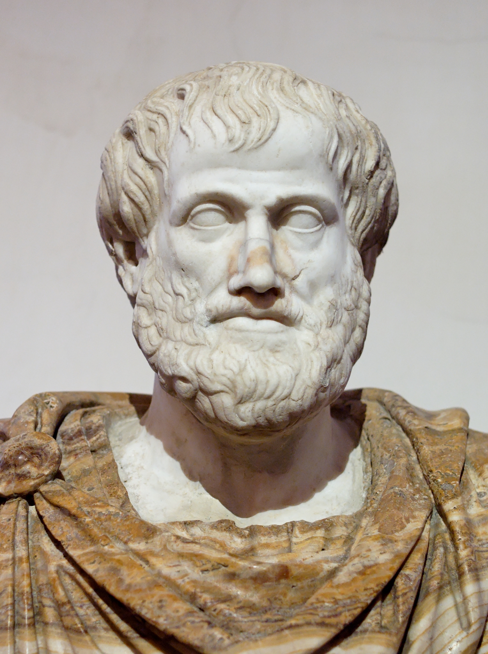 Bust of Aristotle - National Museum of Rome (Photo: Wikipedia)