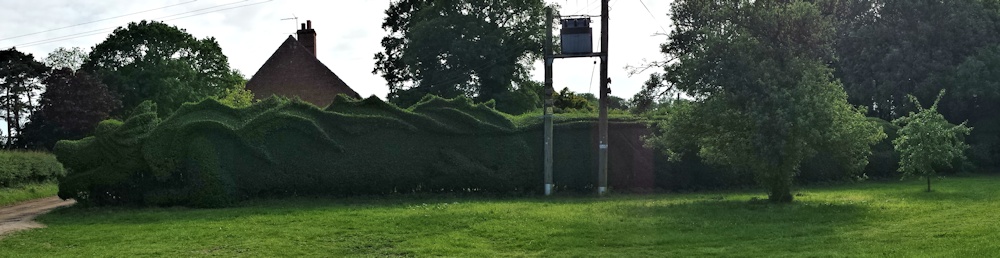 Topiary Dragon Quest
