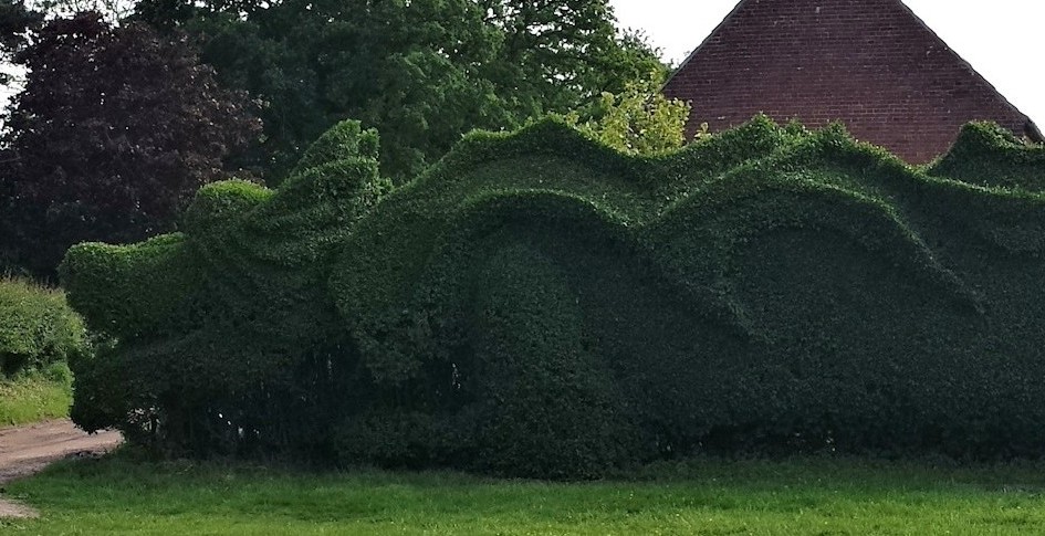 Topiary Dragon Quest