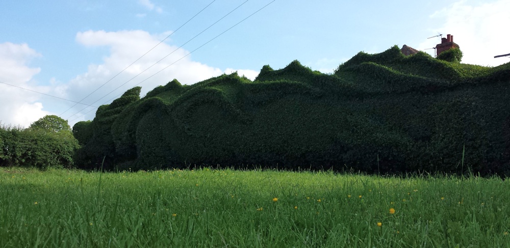 Topiary Dragon Quest