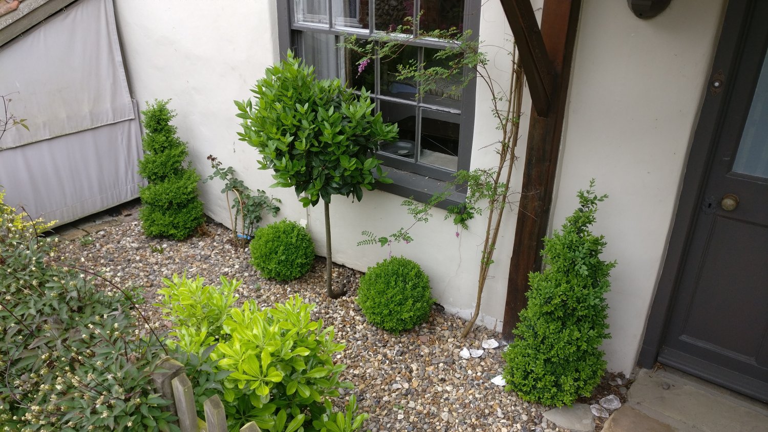 Time to get those clippers out!