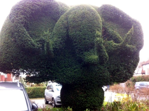 Amazing Front Garden Topiary