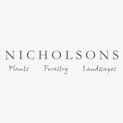 Nicholsons-logo sm – offwhite bkg