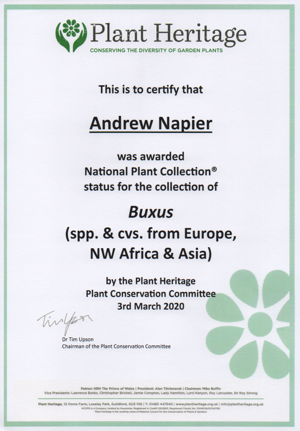 Good News – We Have A National Buxus Collection